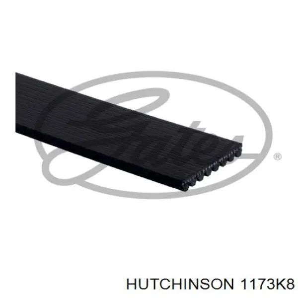 1173K8 Hutchinson correa trapezoidal