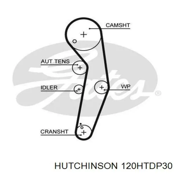 120HTDP30 Hutchinson correa distribucion