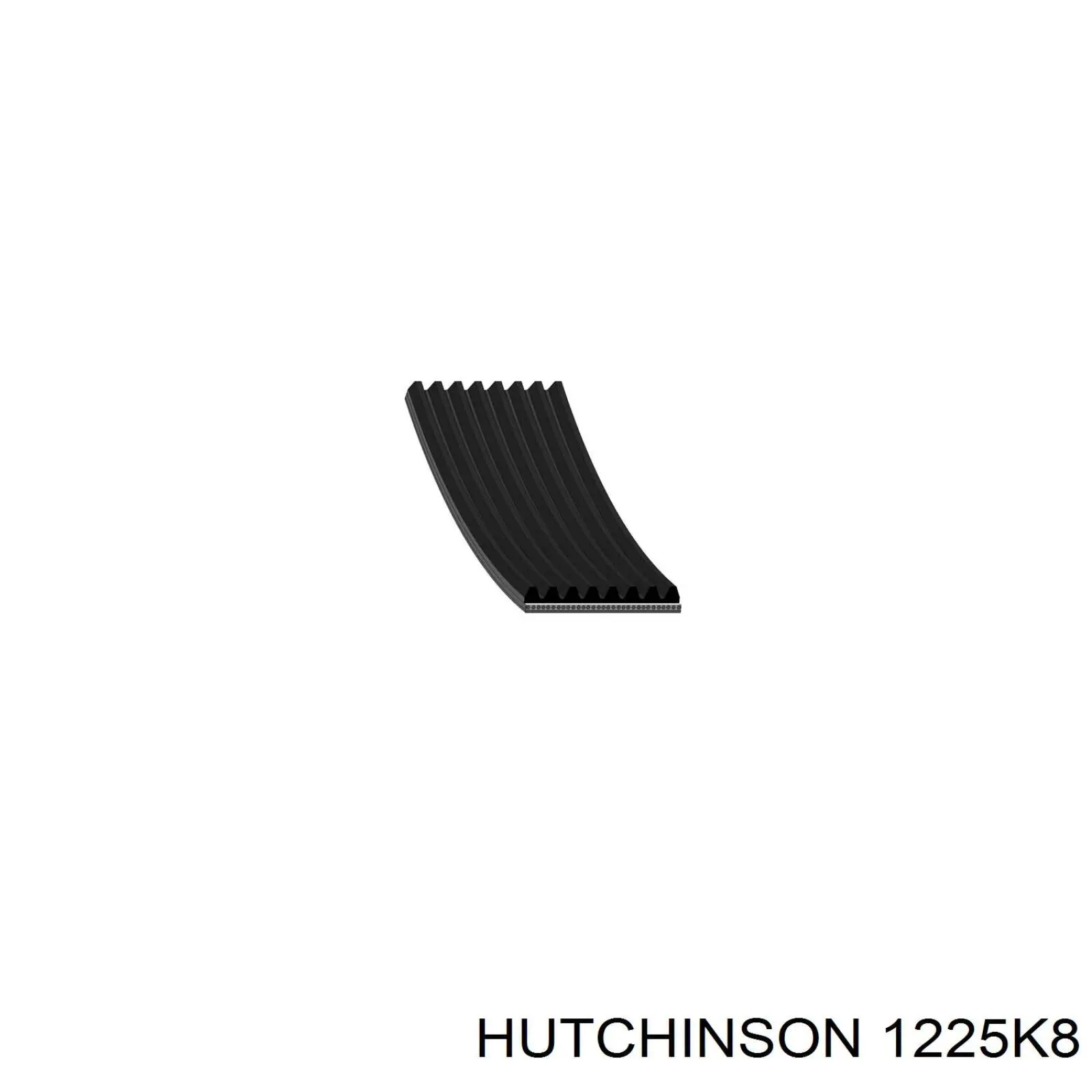 1225K8 Hutchinson correa trapezoidal