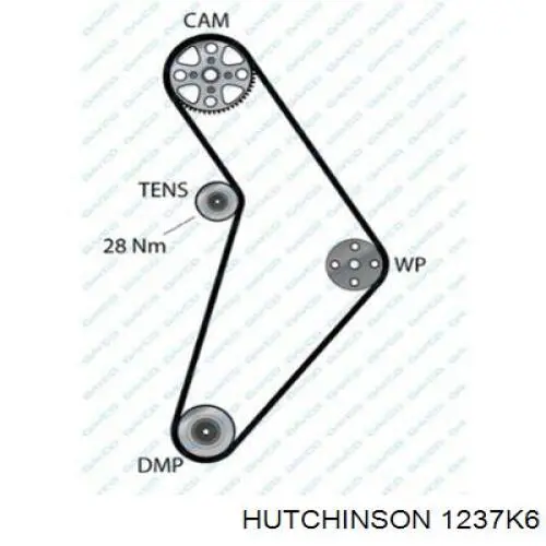 1612162980 Peugeot/Citroen Correa poly v