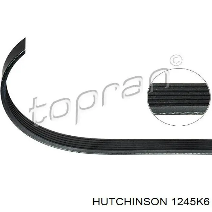 Comprar 1612162980 Peugeot/Citroen Correa trapezoidal