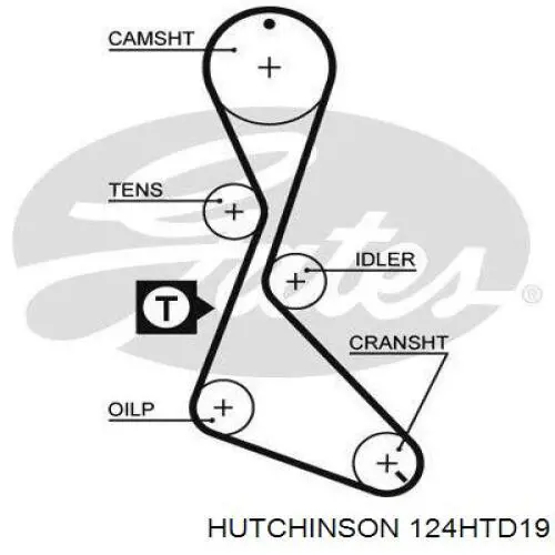 124HTD19 Hutchinson correa distribucion