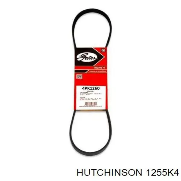 Correa accesorios Renault (RVI) 7700273010
