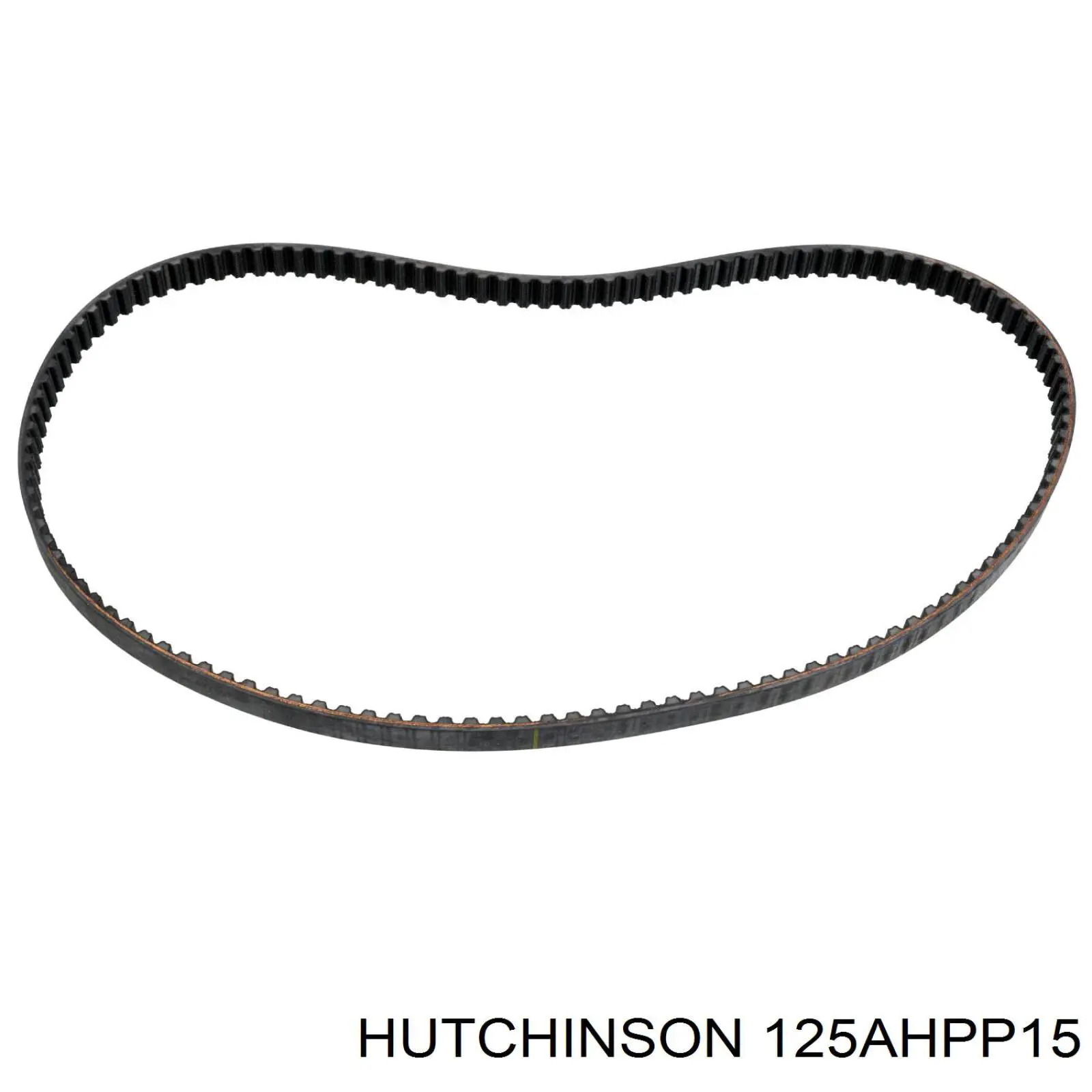 125AHPP15 Hutchinson correa distribucion