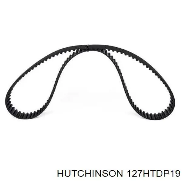 127HTDP19 Hutchinson correa distribucion