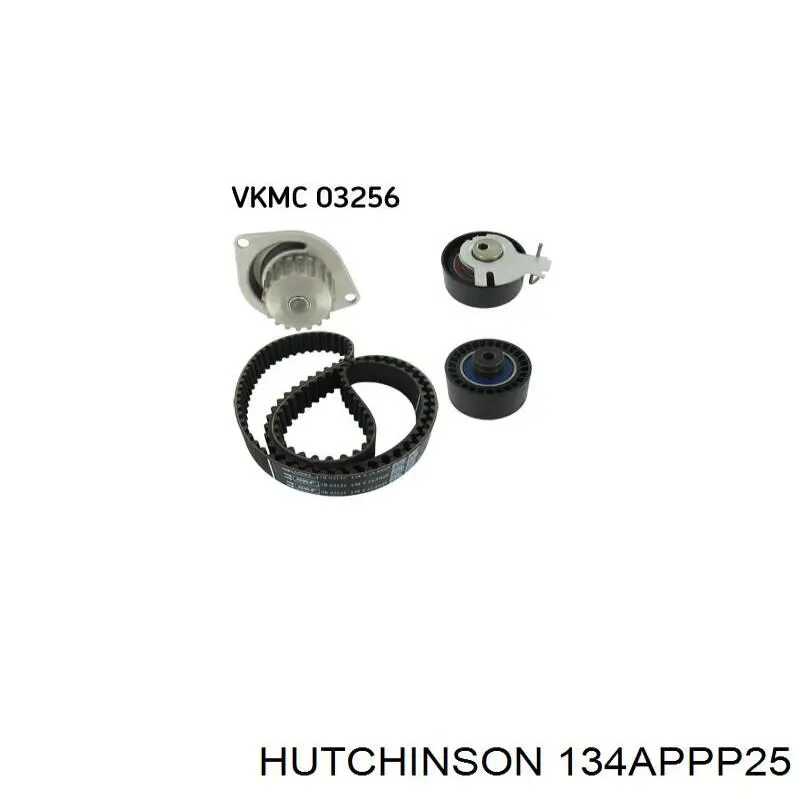 Comprar 134APPP25 Hutchinson Correa distribución