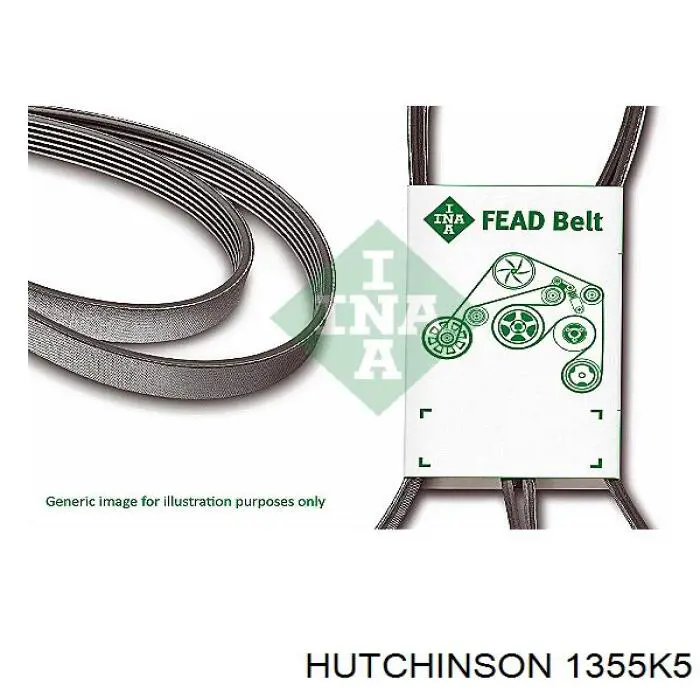 1355K5 Hutchinson correa trapezoidal