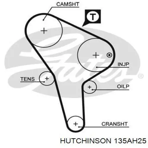 135AH25 Hutchinson correa distribucion