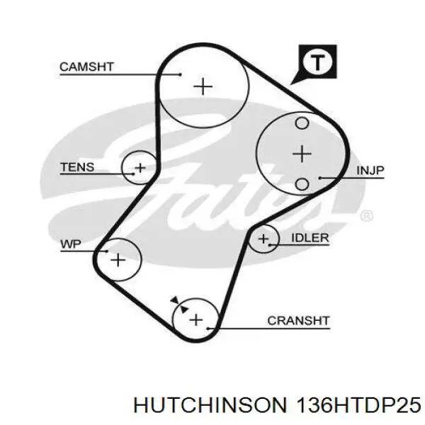 Comprar 136HTDP25 Hutchinson Correa distribución