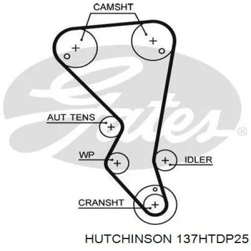 Correa distribucion Ford Fiesta JH, JD