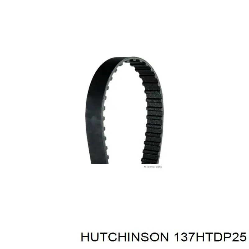 Correa distribucion Ford Fiesta JH, JD