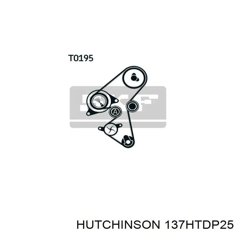 Correa distribucion Ford Fiesta JH, JD