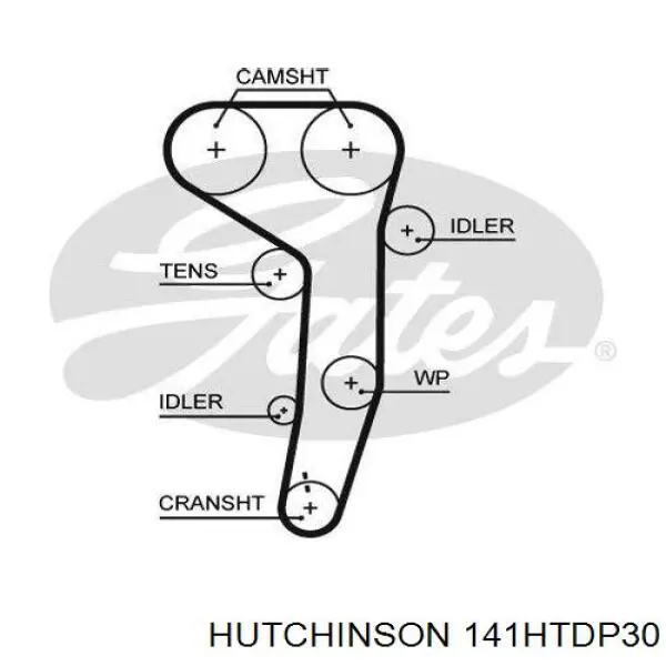 141HTDP30 Hutchinson Correa dentada