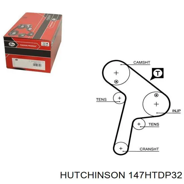 Correa distribución 9630425480 Peugeot/Citroen