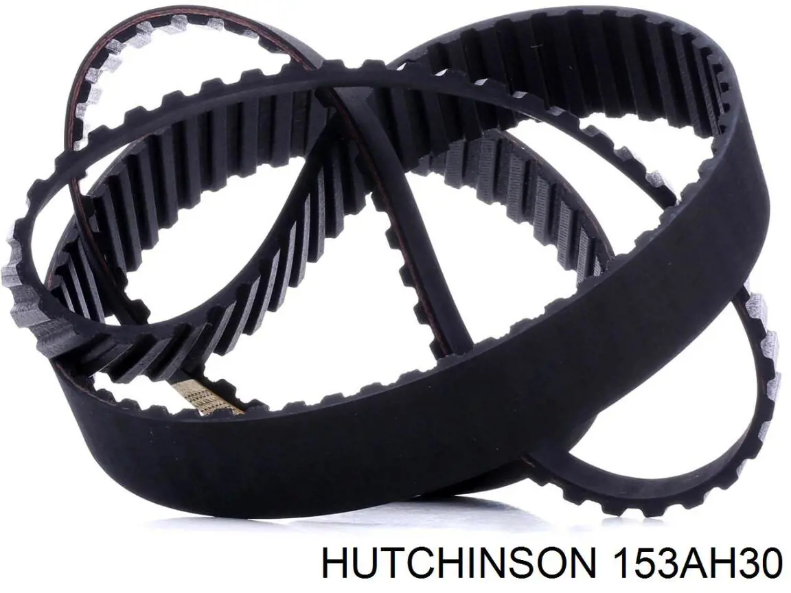 153 AH 30 Hutchinson correa distribucion