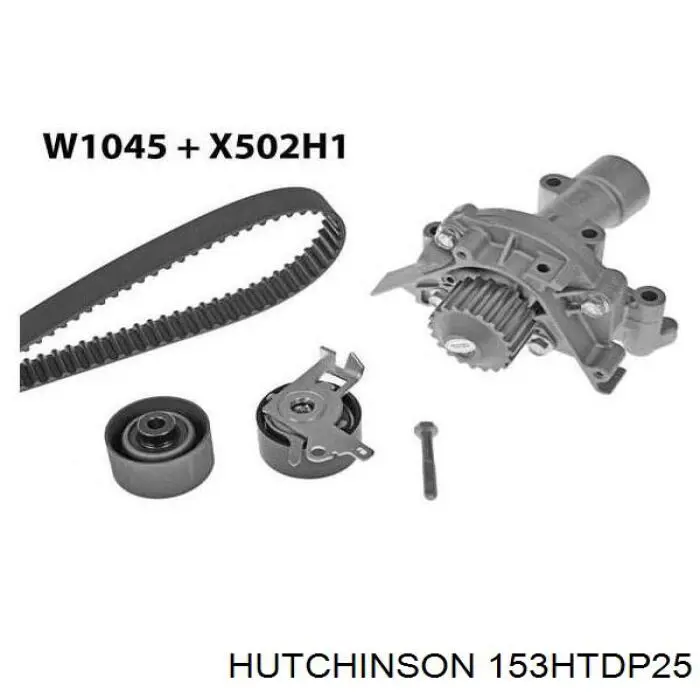 153HTDP25 Hutchinson correa distribucion