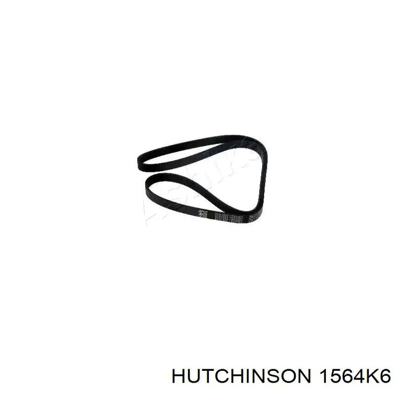Correa accesorios Hutchinson 1564K6