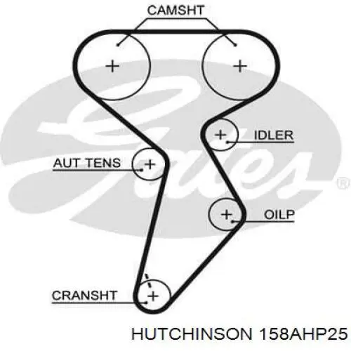 158 AHP 25 Hutchinson correa distribucion