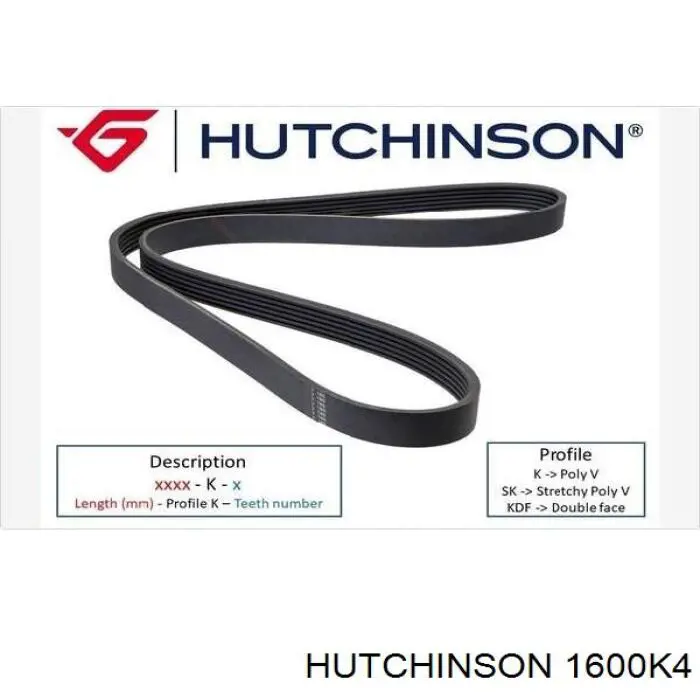 1600K4 Hutchinson correa trapezoidal
