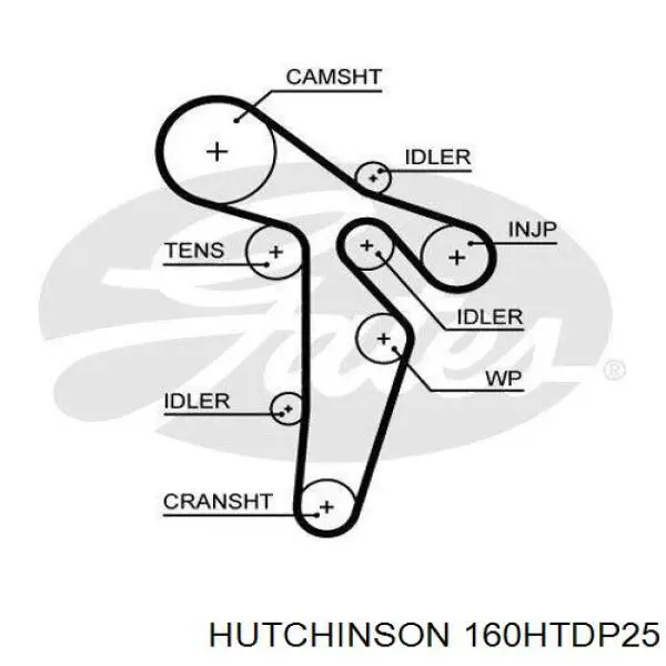 160HTDP25 Hutchinson Correa dentada