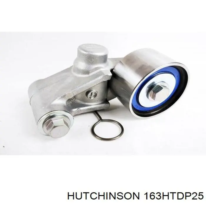 163HTDP25 Hutchinson correa distribución