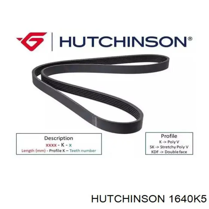 1640K5 Hutchinson correa trapezoidal