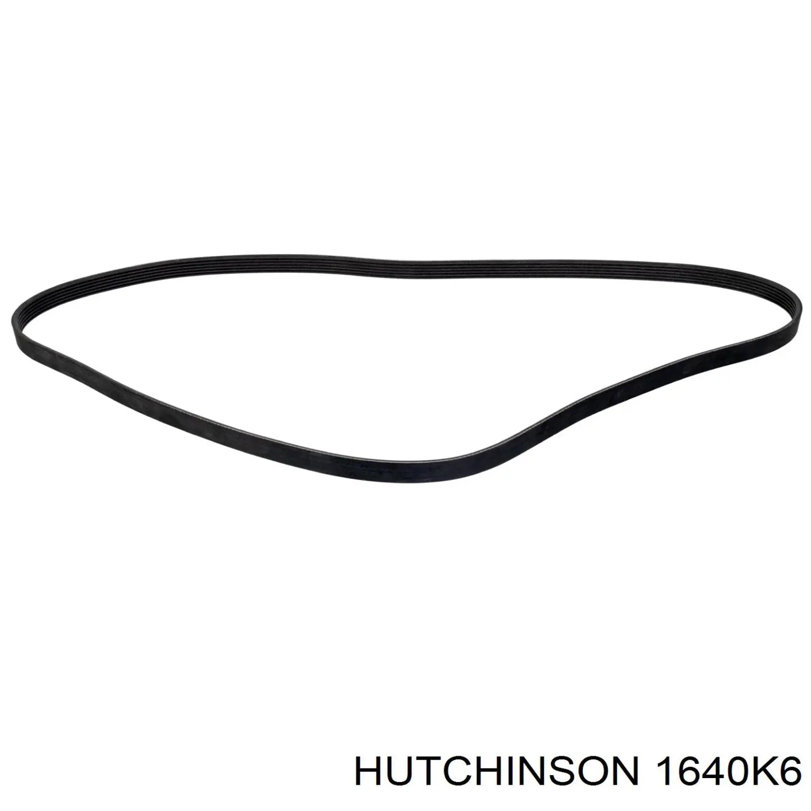 Correa accesorios Ford 1731727