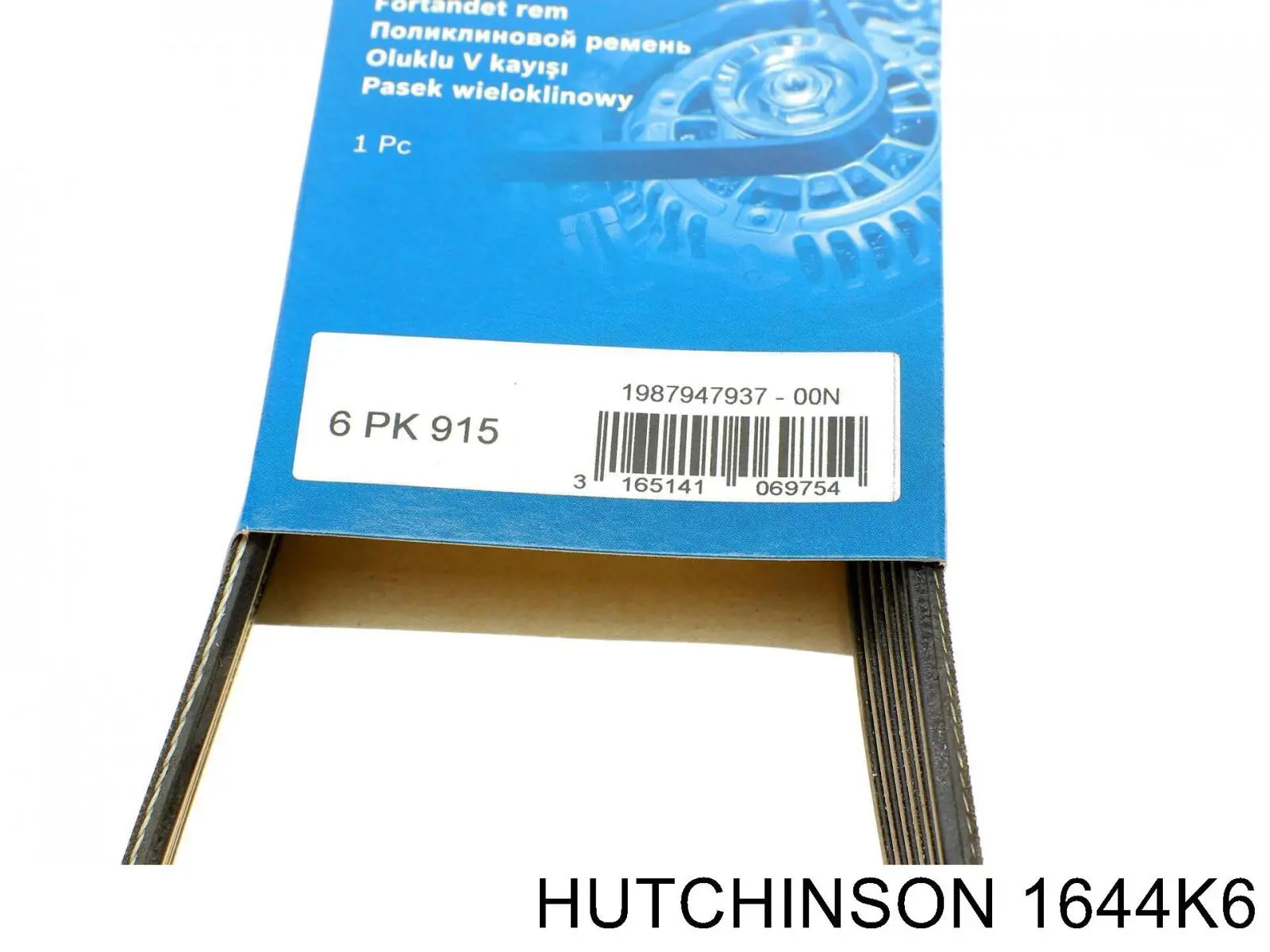 Correa de alternador 1731727 Ford