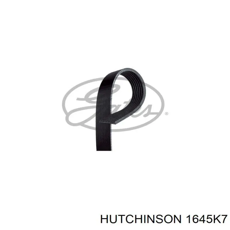1645K7 Hutchinson correa trapezoidal