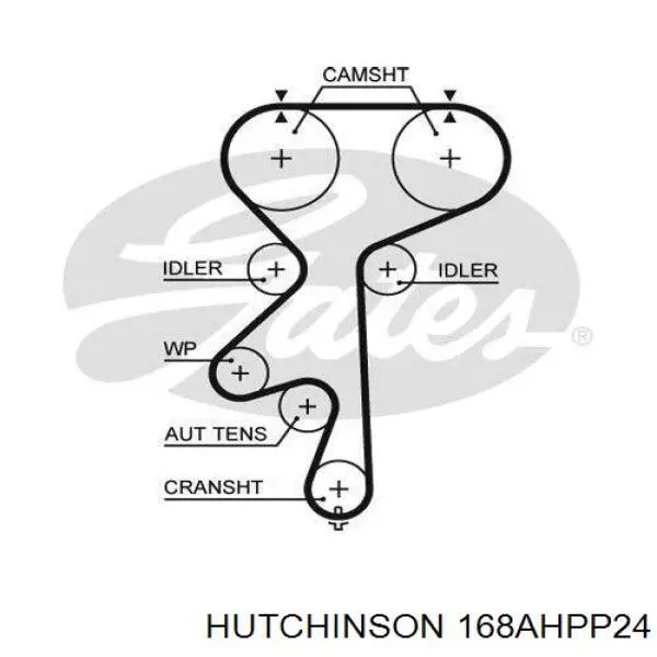 168AHPP24 Hutchinson correa distribucion