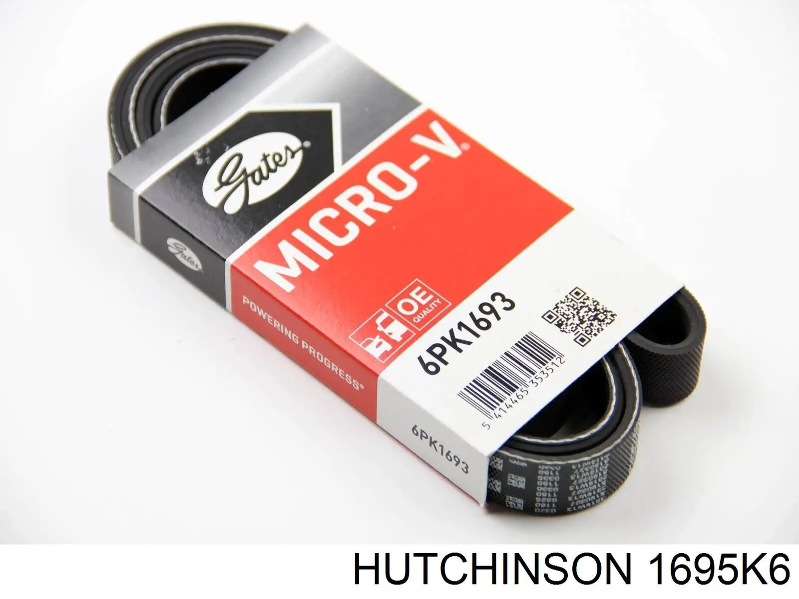 Correa trapezoidal Renault 21 S48