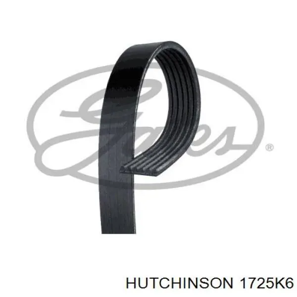 1725K6 Hutchinson correa trapezoidal