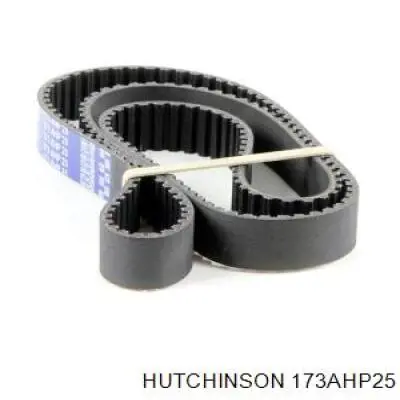 173AHP25 Hutchinson Correa dentada