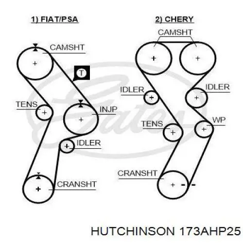 Correa de distribución Hutchinson 173AHP25 precio, desde 22,34 EUR