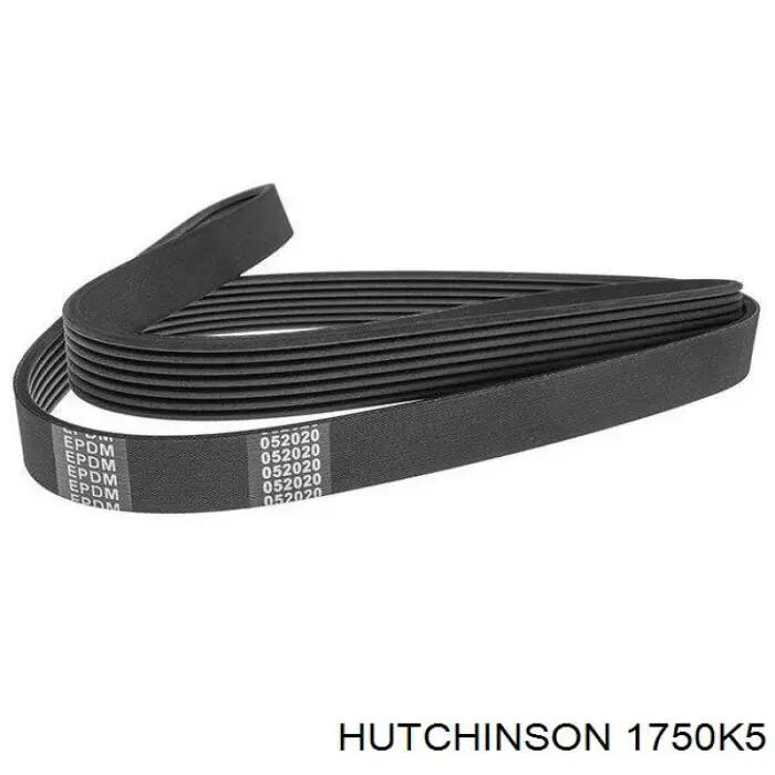 Correa de alternador 1750K5 Hutchinson