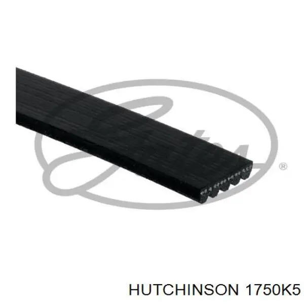 1750K5 Hutchinson Correa poly v