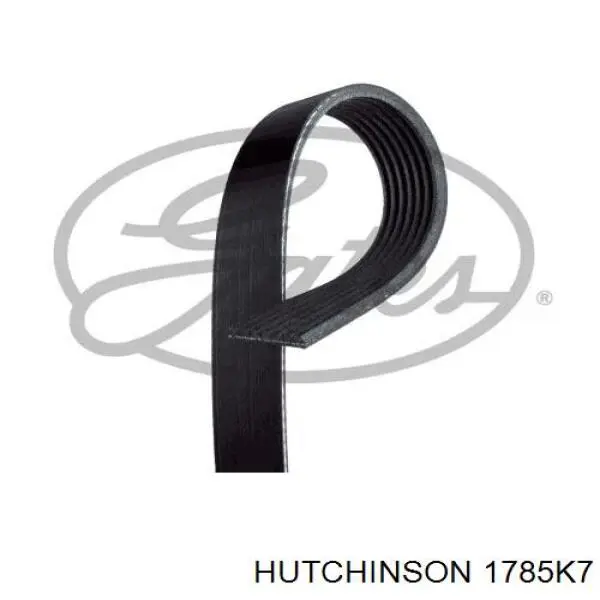 1785K7 Hutchinson correa trapezoidal