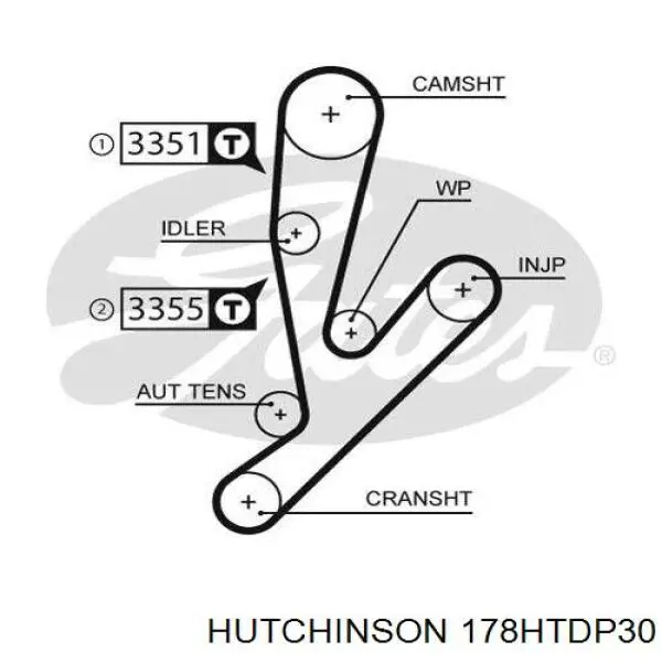 178HTDP30 Hutchinson correa distribucion