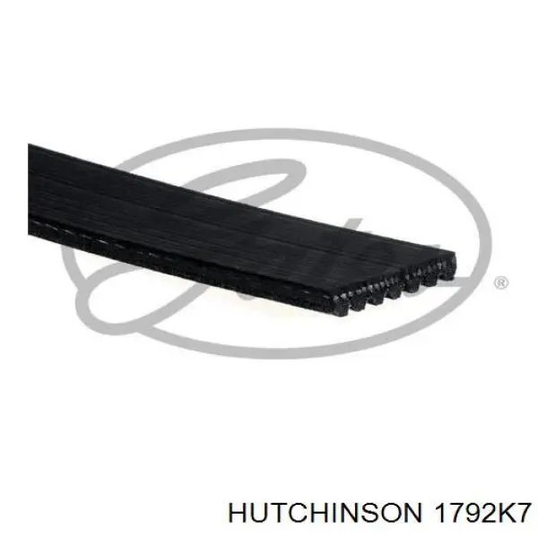 Comprar 1792K7 Hutchinson Correa trapezoidal