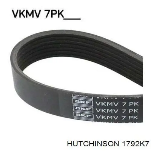 Correa de alternador 1792K7 Hutchinson