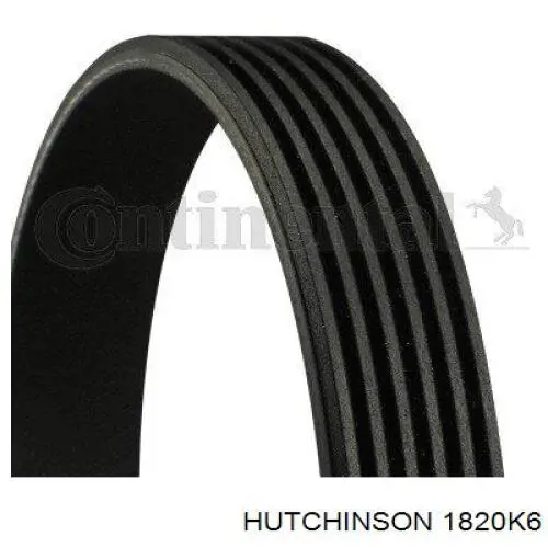 Correa de alternador 8200821800 Renault (RVI)
