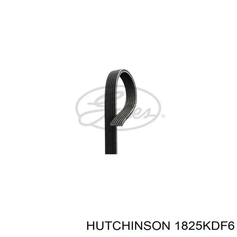 Correa accesorios Volvo 30731862