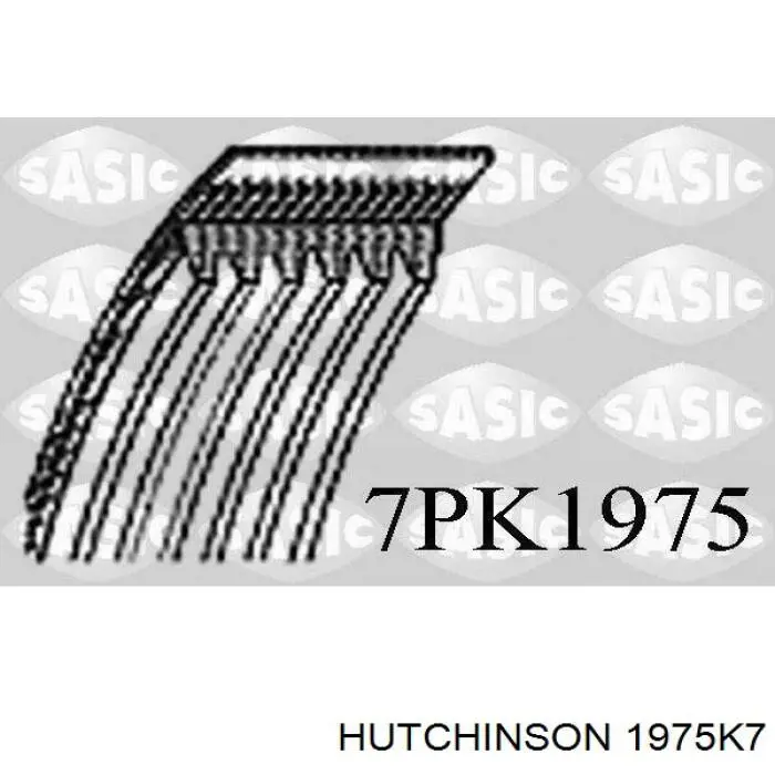 Correa de alternador 1975K7 Hutchinson