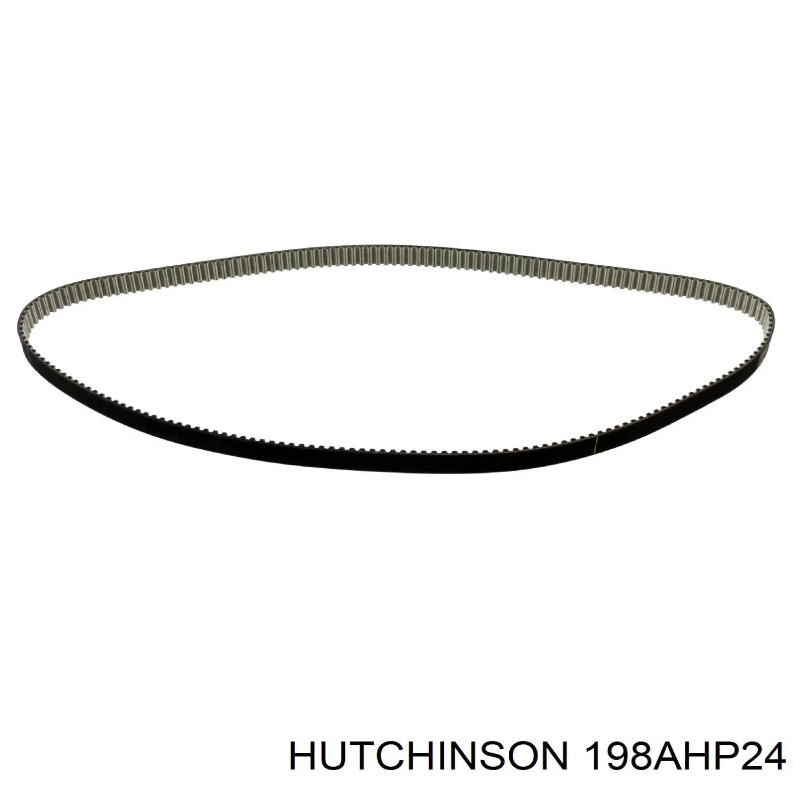 198AHP24 Hutchinson correa distribucion