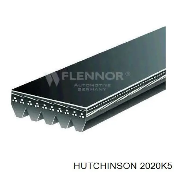 11288477783 BMW Correa poly v
