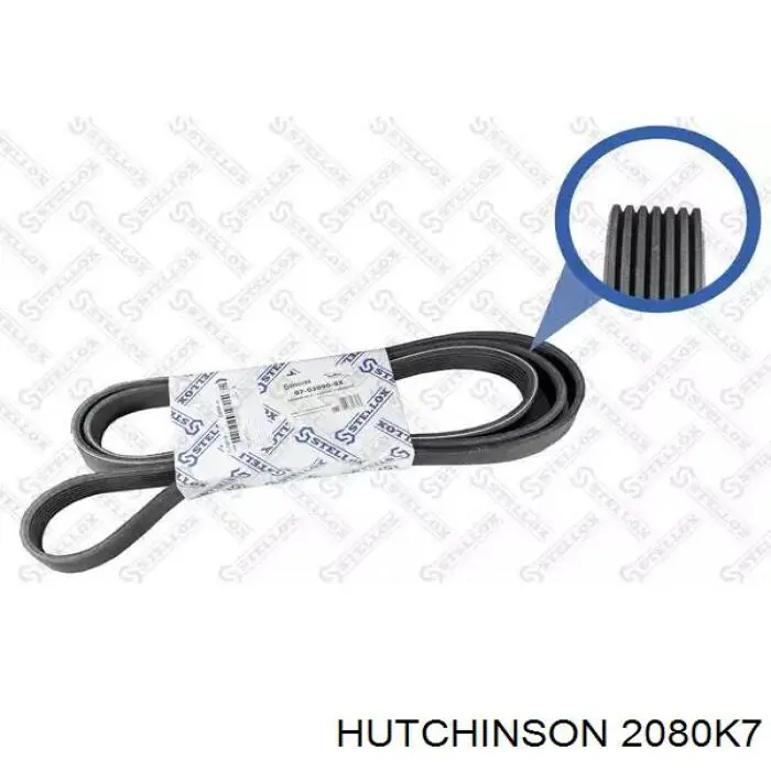 Correa de alternador 9091602736 Toyota