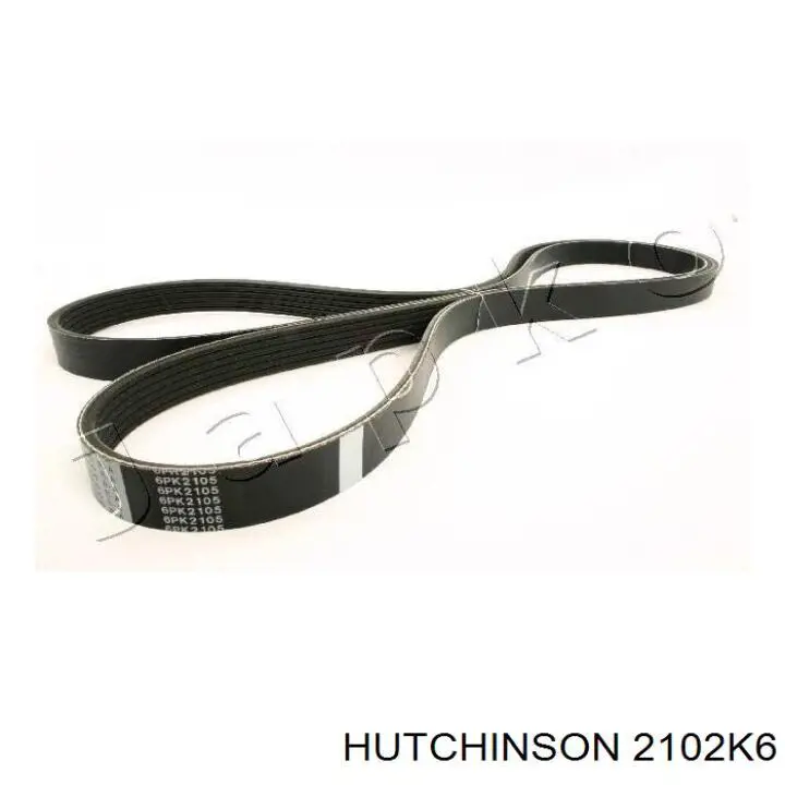 2102K6 Hutchinson correa trapezoidal