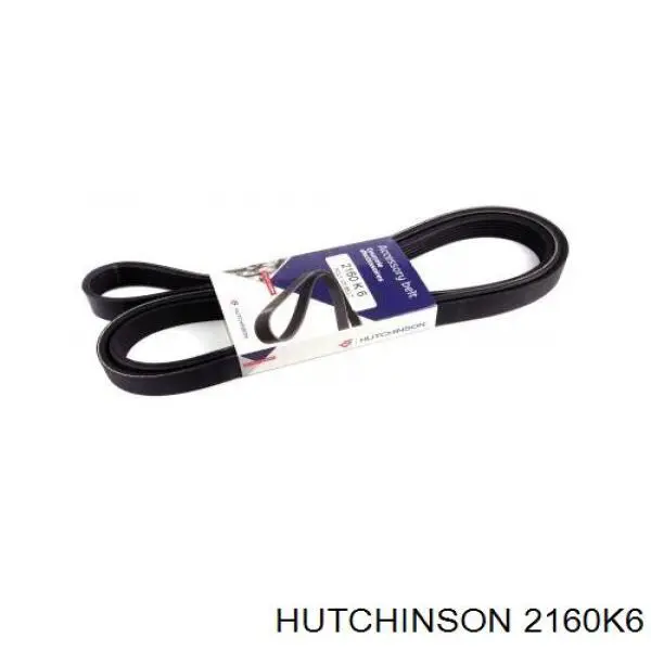 2160K6 Hutchinson correa trapezoidal