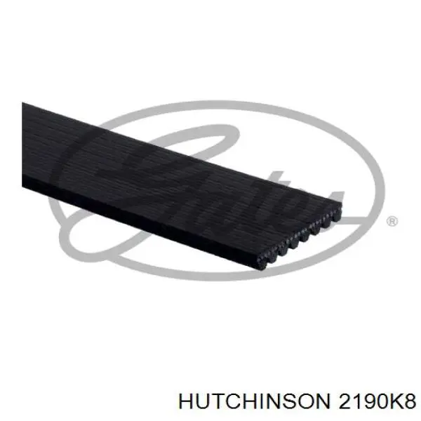 2190K8 Hutchinson correa trapezoidal