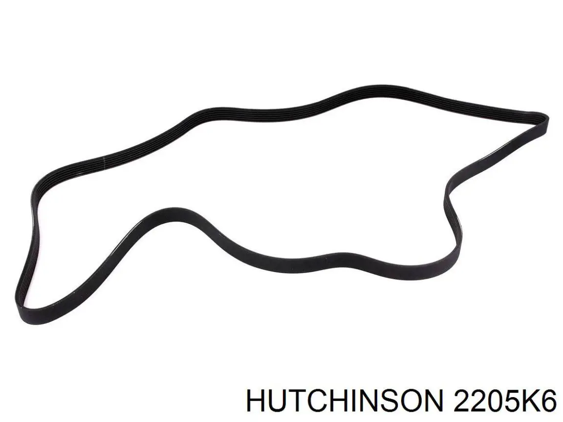 Correa de alternador 2205K6 Hutchinson